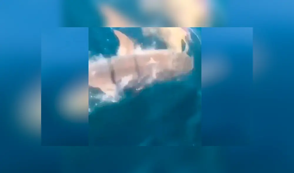 Desliza para ver los momentos más impactantes del video que se hizo viral en Facebook.