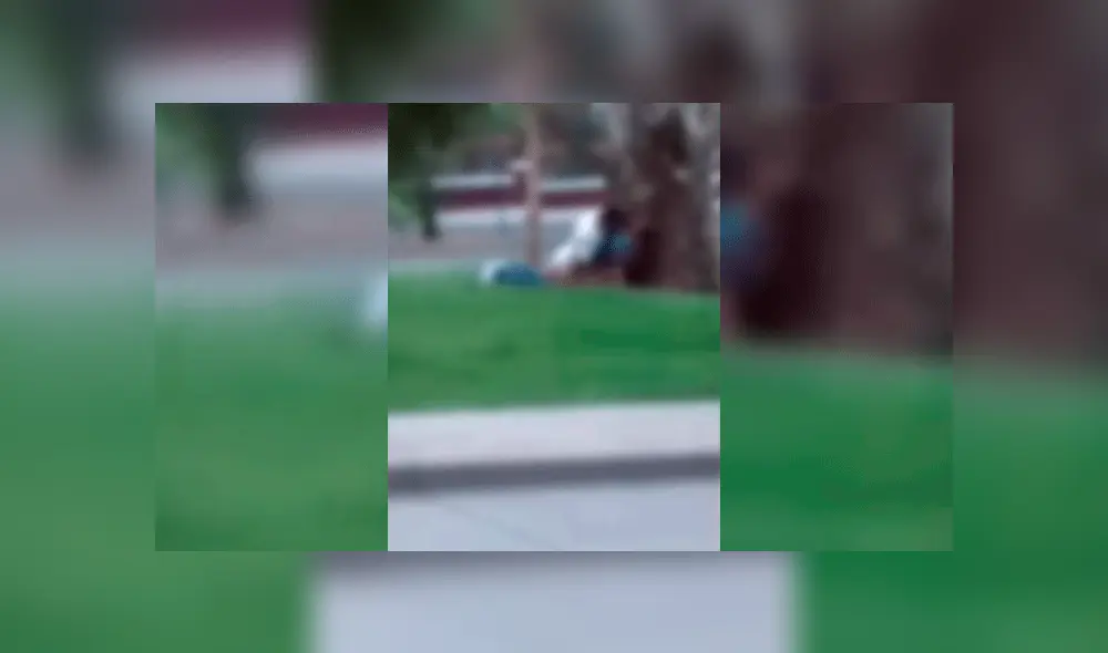 En YouTube, pareja es captada teniendo sexo en pleno parque [VIDEO]