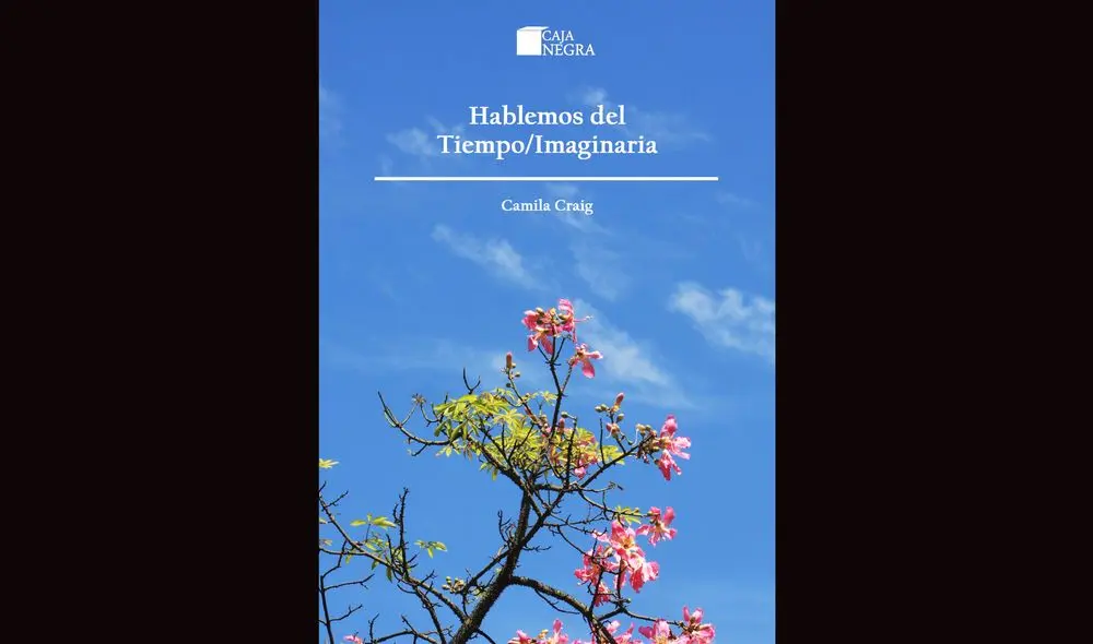 PORTADA DE LIBRO. PORTADA DE LIBRO.