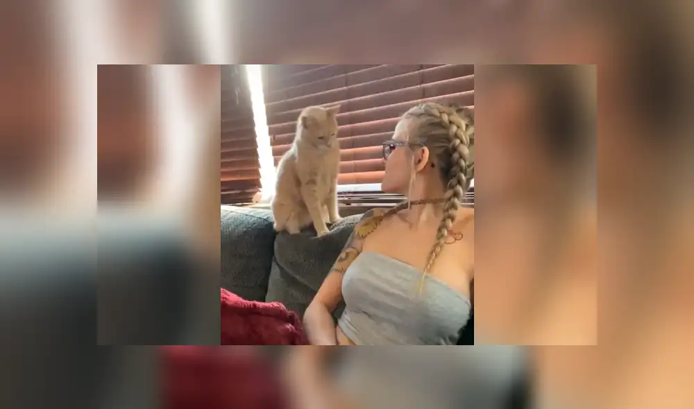 Desliza la imagen de YouTube para verlas todas. Foto: captura Desliza la imagen de YouTube para verlas todas. Foto: captura