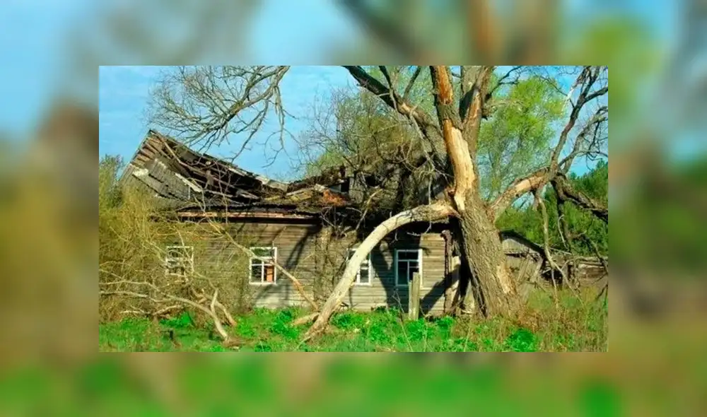 Chernobyl: ¿Cómo se encuentra el territorio donde ocurrió el peor accidente nuclear de la historia?