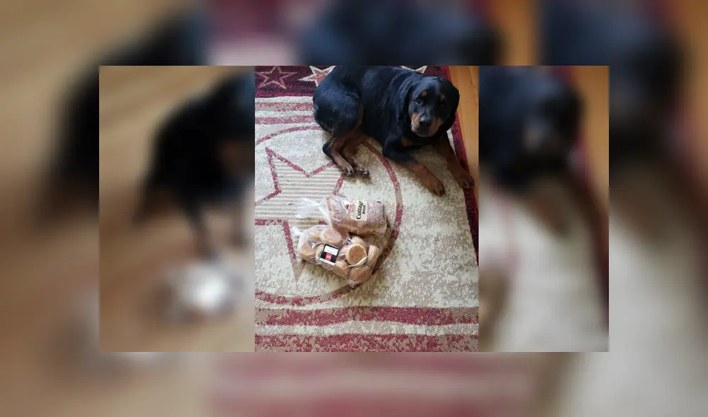 Desliza para ver los detalles de esta historia que se viralizó en Facebook. Foto: Captura. Desliza para ver los detalles de esta historia que se viralizó en Facebook. Foto: Captura.