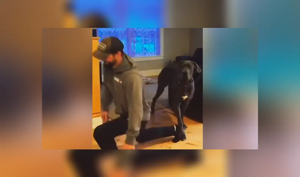 Desliza para ver lo momentos para emotivos del tierno video que se hizo viral en Facebook. Desliza para ver lo momentos para emotivos del tierno video que se hizo viral en Facebook.