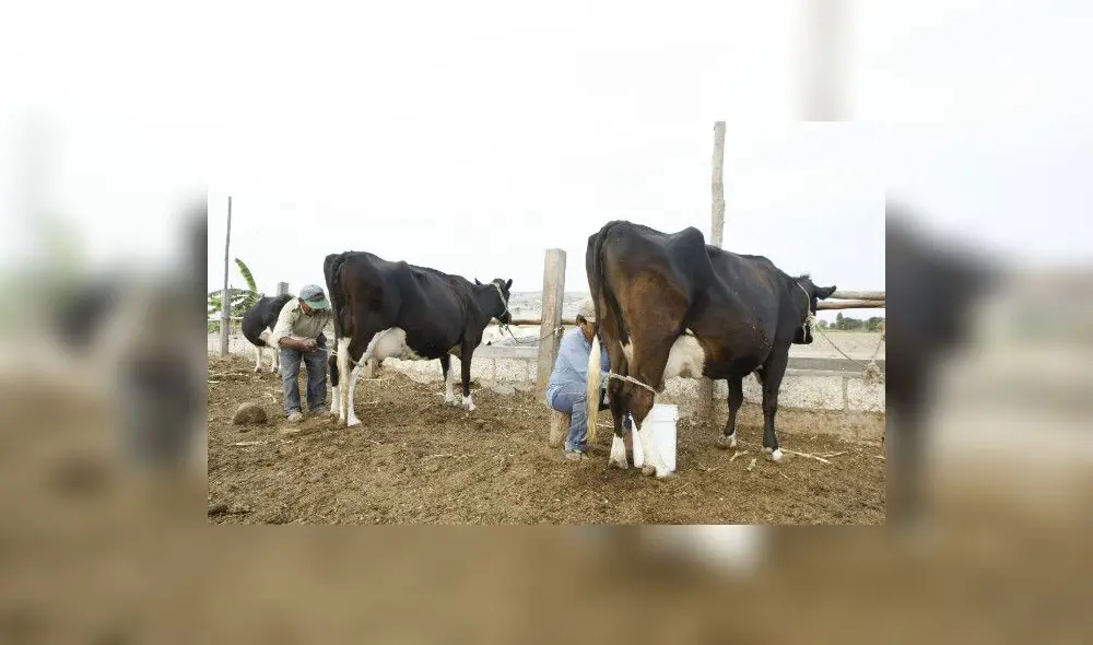 Planta industrial de Gloria reinicia sus operaciones