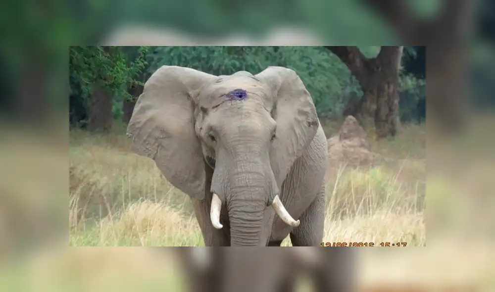 Desliza para ver las fotos que conmovieron a miles en Facebook. Foto: Captura. Desliza para ver las fotos que conmovieron a miles en Facebook. Foto: Captura.