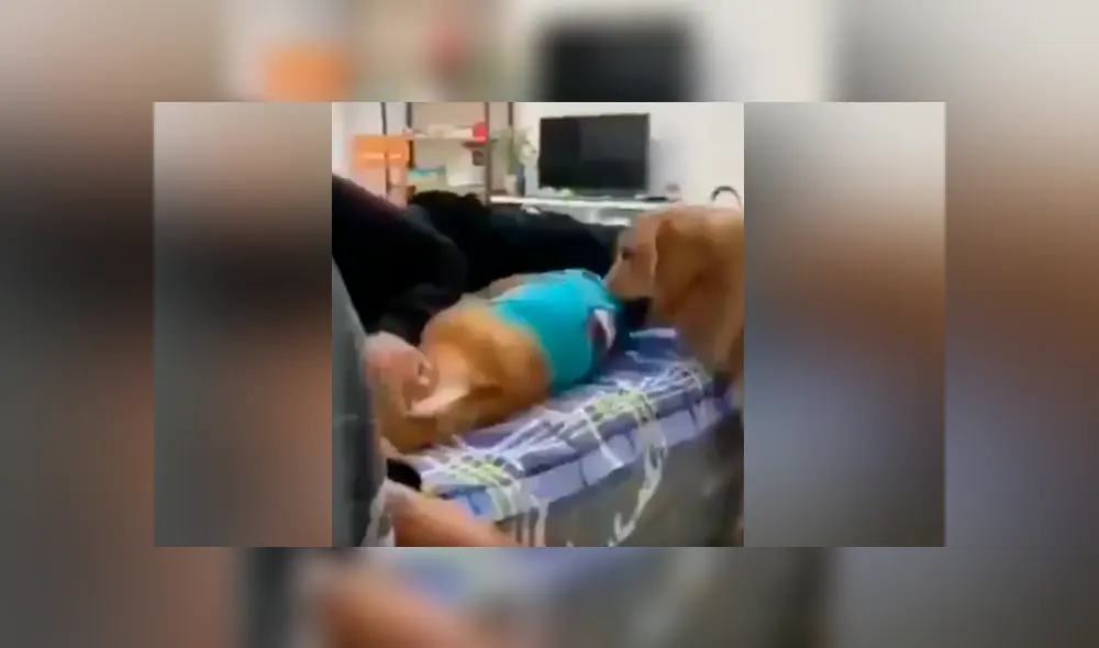 Desliza para ver las imágenes más divertidas del video que se hizo viral en Facebook. Desliza para ver las imágenes más divertidas del video que se hizo viral en Facebook.