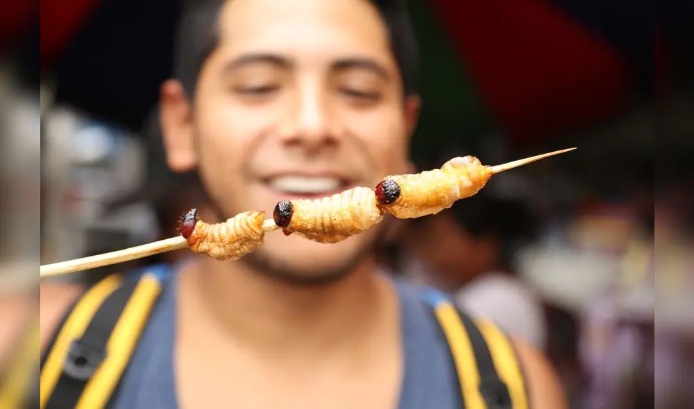En el Perú se consumen más de 170 especies de insectos. El más popular es el suri. Foto: César Von Bancels. En el Perú se consumen más de 170 especies de insectos. El más popular es el suri. Foto: César Von Bancels.