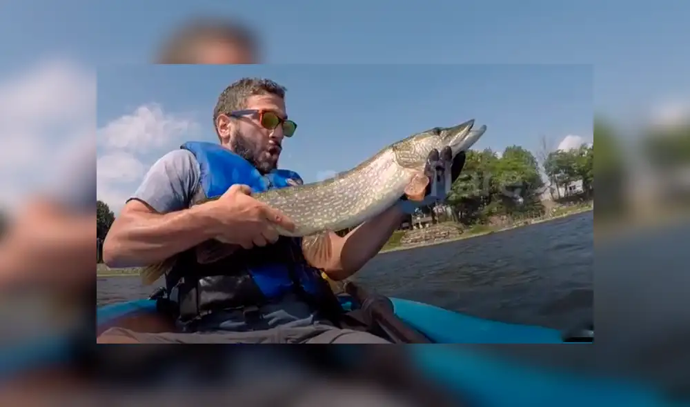 Un video viral de YouTube registró lo que ocurrió con un pescador al atrapar a un enorme criatura marina. Un video viral de YouTube registró lo que ocurrió con un pescador al atrapar a un enorme criatura marina.