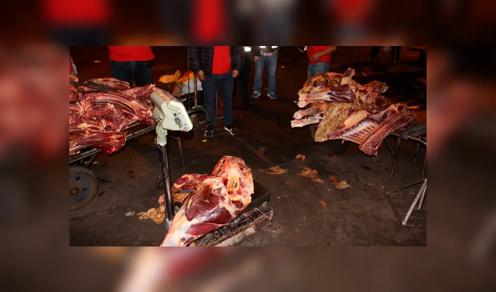 Carne de equino Carne de equino