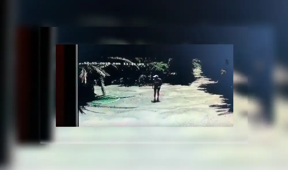 Youtube viral: Intenta entrar a una casa sin permiso y perros le dan una dura lección [VIDEO]