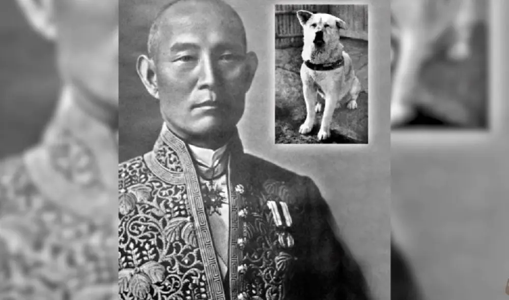 Hachiko estuvo esperando durante nueve años a su dueño Hidesaburō Ueno en la estación de Shibuya. Foto: Captura/YouTube/Experto Animal
