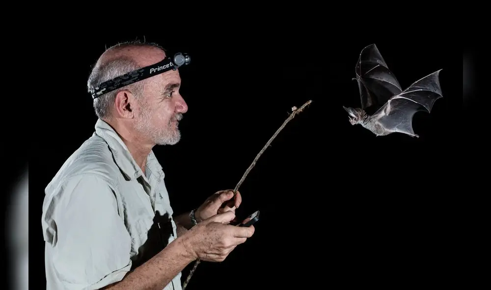 Exploradores en casa, la nueva propuesta de National Geographic para disfrutar en familia 