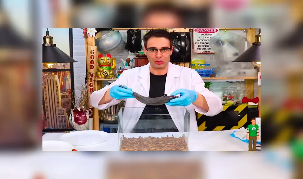 YouTube viral: Arroja pescado a recipiente lleno de gusanos carnívoros y esto sucede [VIDEO]