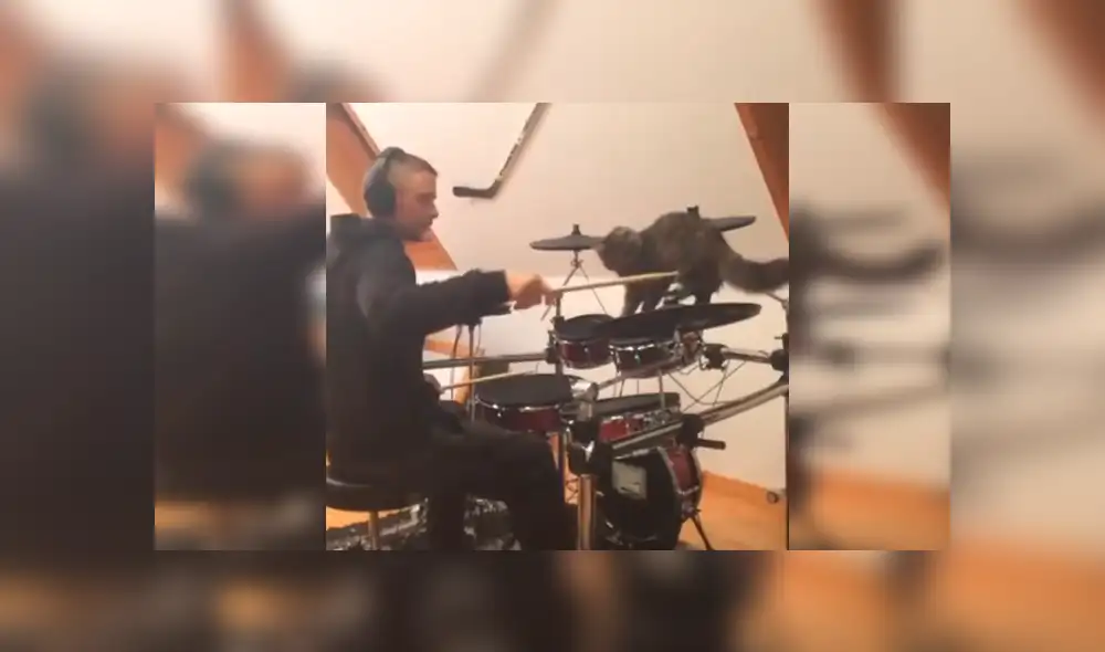 En Facebook, un travieso gato no tuvo mejor idea que molestar a su dueño mientras tocaba batería. En Facebook, un travieso gato no tuvo mejor idea que molestar a su dueño mientras tocaba batería.