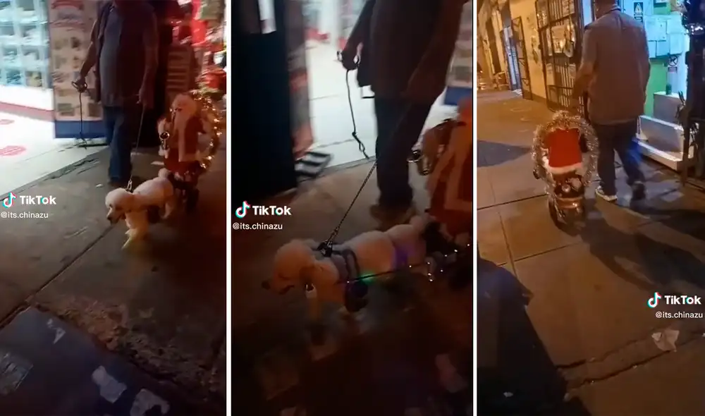 Perrito hace de reno y lleva trineo de Papá Noel a dar un paseo por las calles Perrito hace de reno y lleva trineo de Papá Noel a dar un paseo por las calles