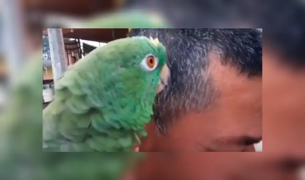 Desliza para ver los detalles del video viral publicado en Facebook. Foto: Captura.