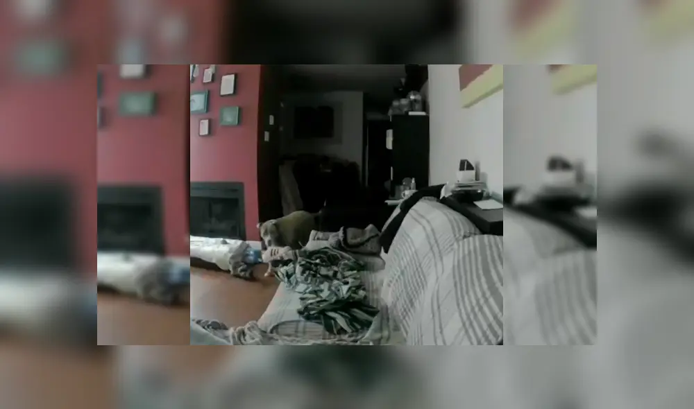 Desliza para ver los detalles del video viral publicado en YouTube. Foto: Captura.