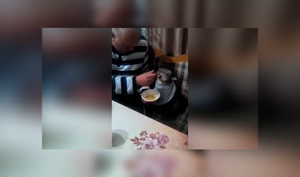 Desliza las imágenes para ver la increíble escena que protagonizó un padre y su gato. Foto: Captgura/Facebook Desliza las imágenes para ver la increíble escena que protagonizó un padre y su gato. Foto: Captgura/Facebook