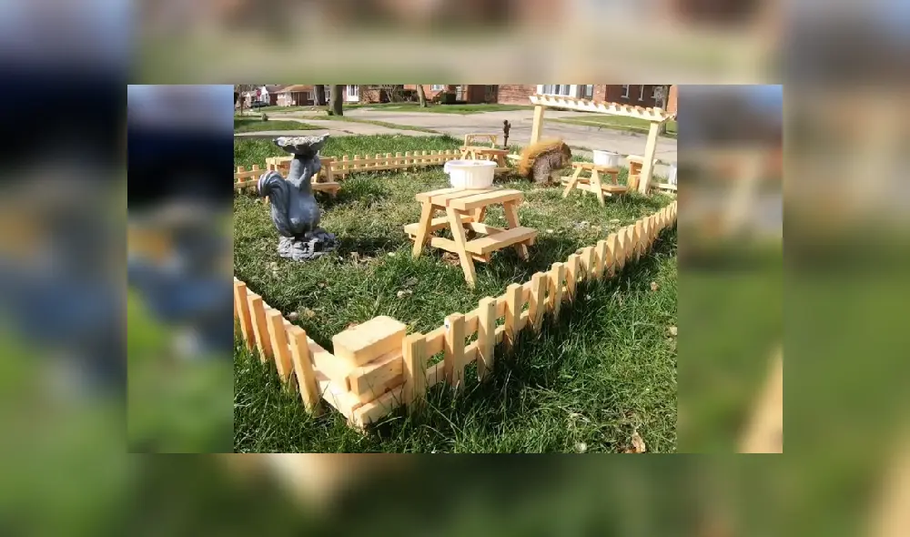 Desliza las imágenes para ver las imágenes del exclusivo restaurante para ardillas. (Foto: Facebook)