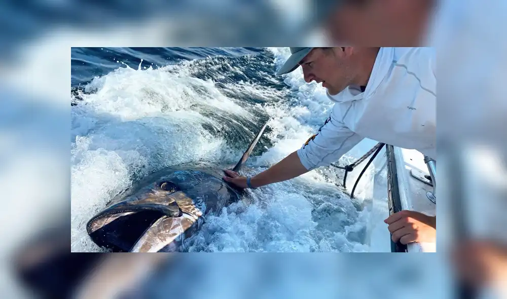 Unos jóvenes estuvieron largas horas tratando de atrapar al gigantesco pez. Foto: Boston Globe
