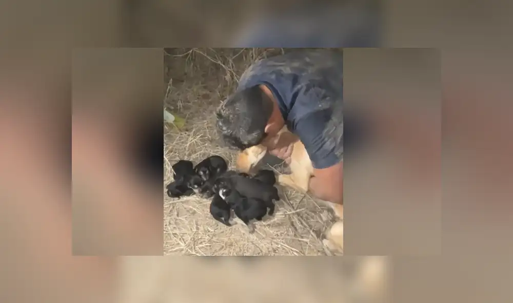 Un joven rescató a unos cachorros que estaban enterrados varios metros. Foto: Facebook