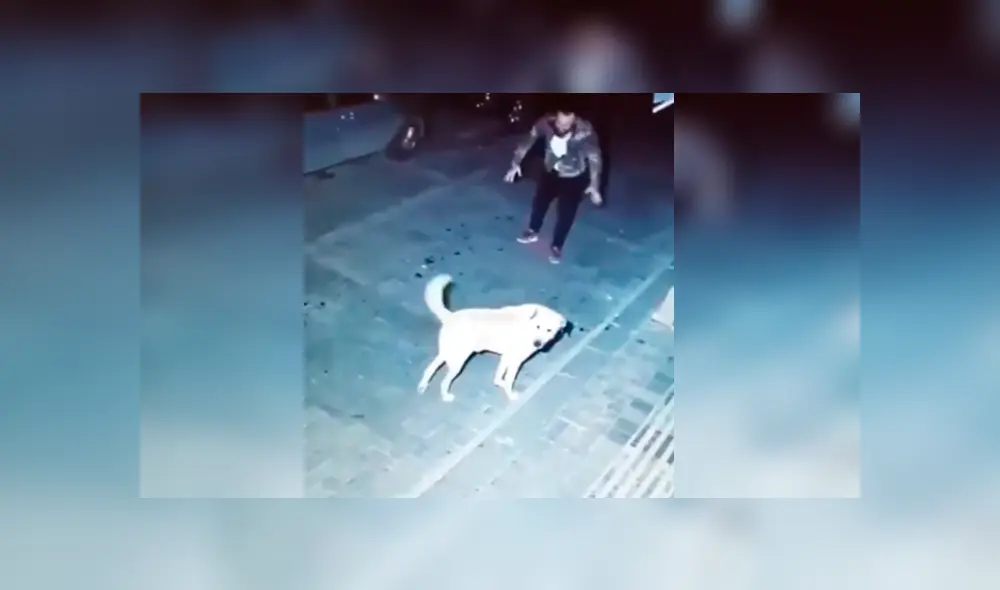 Desliza para ver el desenlace de este video viral publicado en Facebook. Foto: Captura.