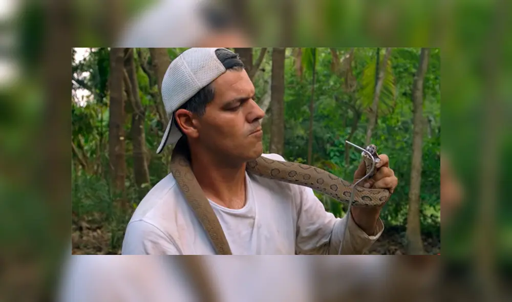 En YouTube se hizo viral la arriesgada expedición para encontrar a una de las serpientes más letales del mundo. En YouTube se hizo viral la arriesgada expedición para encontrar a una de las serpientes más letales del mundo.