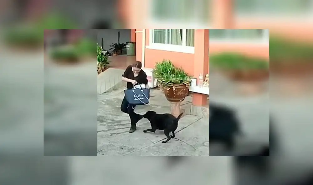 El gracioso episodio quedó registrado por cámaras de seguridad instaladas en la casa de la dueña del can. Video es viral en YouTube.