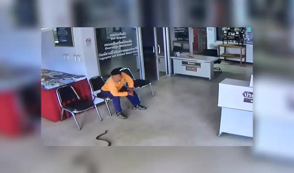 YouTube viral: serpiente ingresa a estación de policía e intenta devorar a detenido [VIDEO]