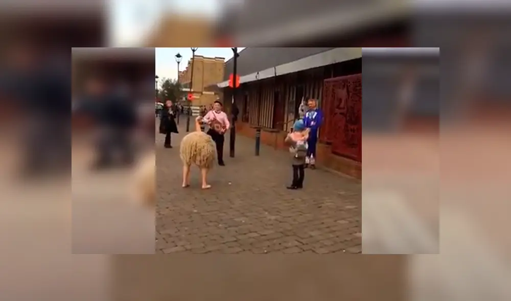 En YouTube, un artista callejero dio tremenda sorpresa a transeúntes al colocarse un disfraz de avestruz. En YouTube, un artista callejero dio tremenda sorpresa a transeúntes al colocarse un disfraz de avestruz.