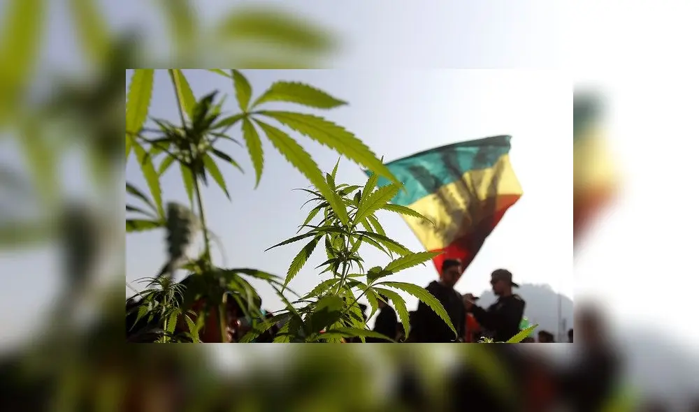Chile marcha por la despenalización del autocultivo de marihuana [FOTOS]