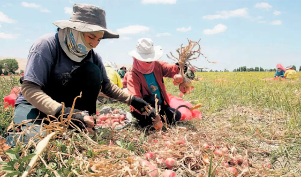 agricultores agricultores