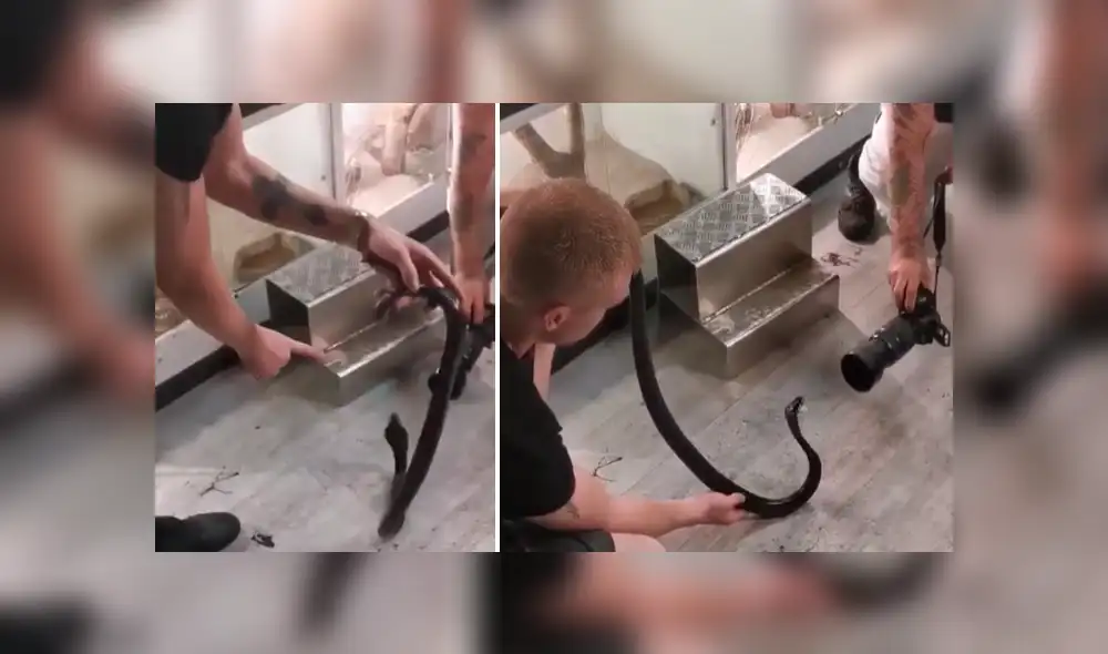 Facebook viral: fotógrafo realiza osada maniobra para hipnotizar a letal serpiente