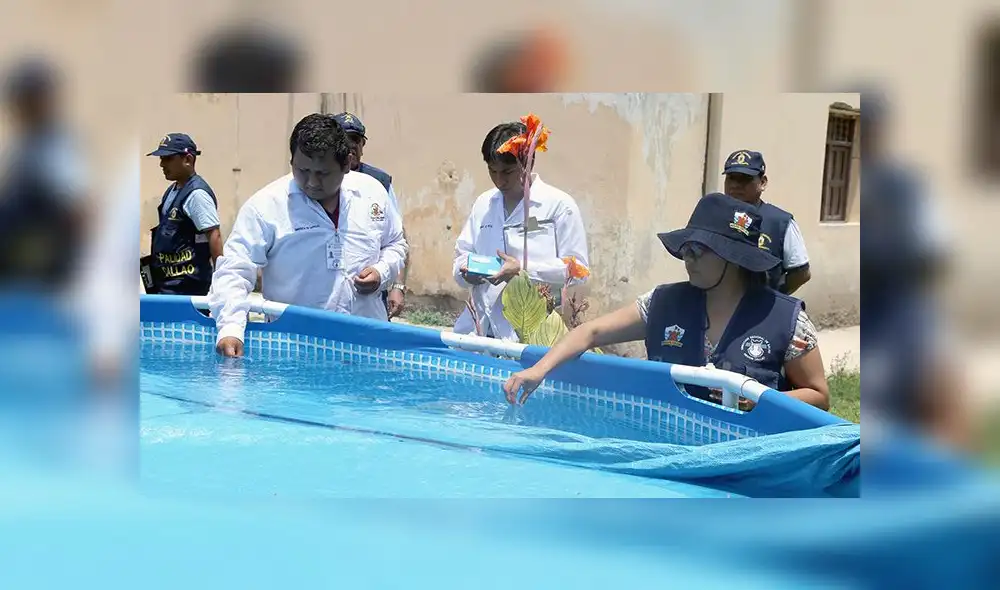 Callao: supervisan piscinas para evitar enfermedades 