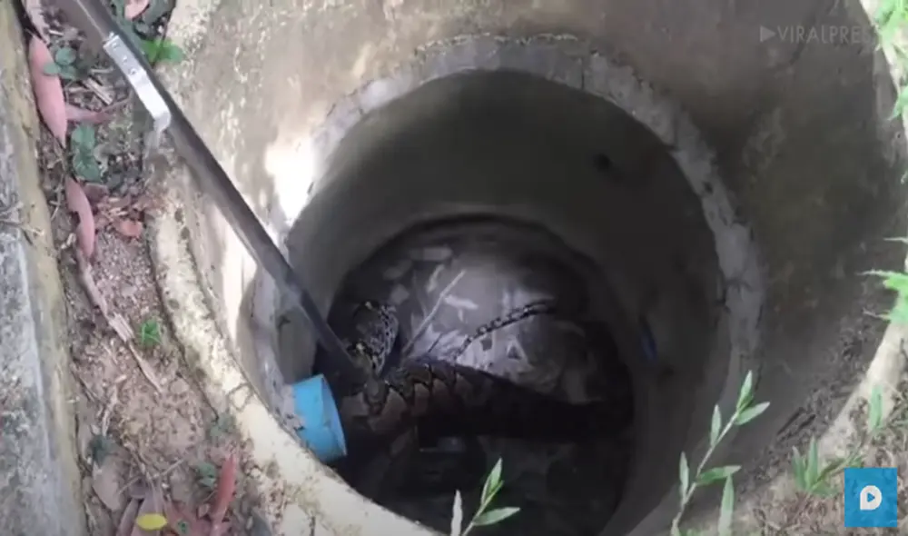 Desliza hacia la izquierda para ver las imágenes del video viral. Foto: captura de Facebook.