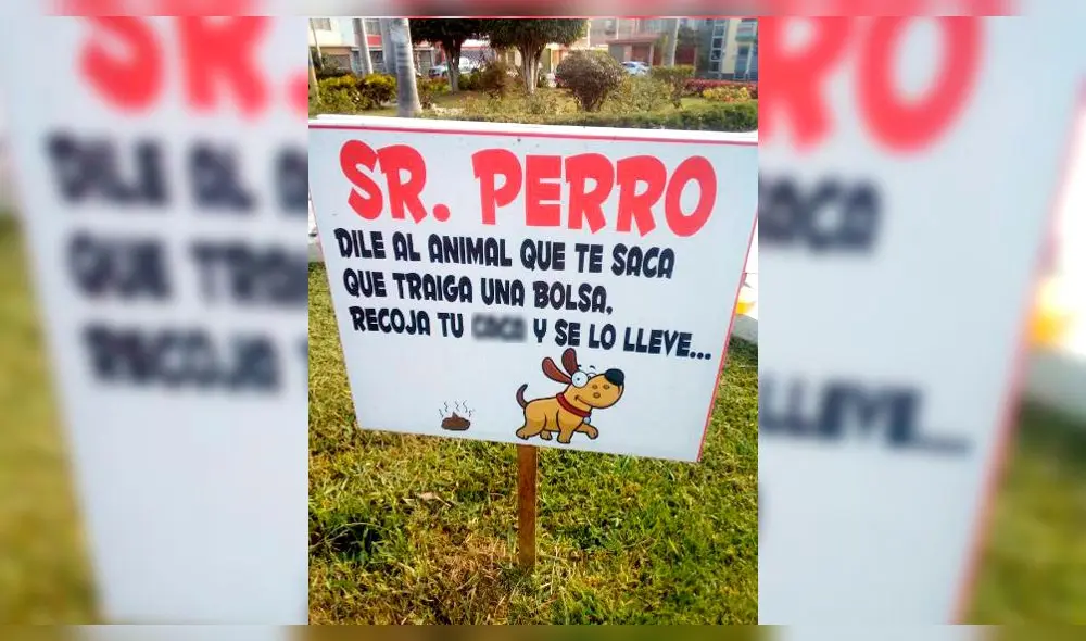 letrero perro