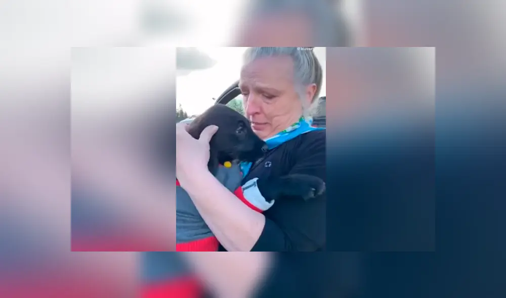 Desliza para ver los momentos más tiernos del video que se hizo viral en YouTube.