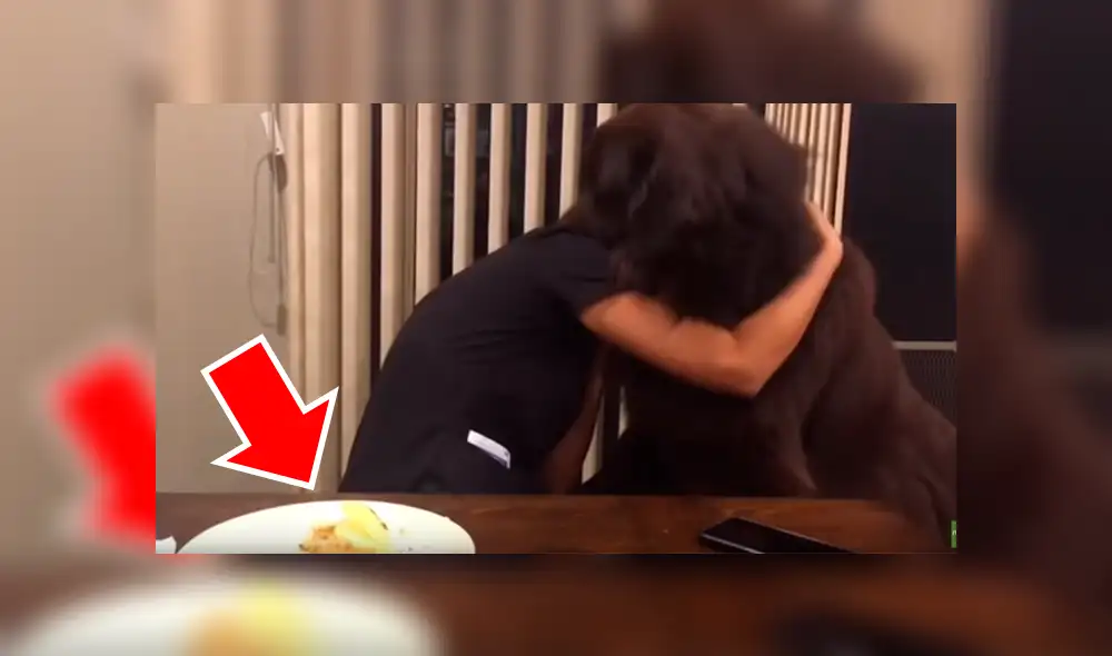 A través de YouTube, un video viral mostró el preciso instante en que un perro finge abrazar a su dueña, a quien no veía en meses para robarle su comida. A través de YouTube, un video viral mostró el preciso instante en que un perro finge abrazar a su dueña, a quien no veía en meses para robarle su comida.