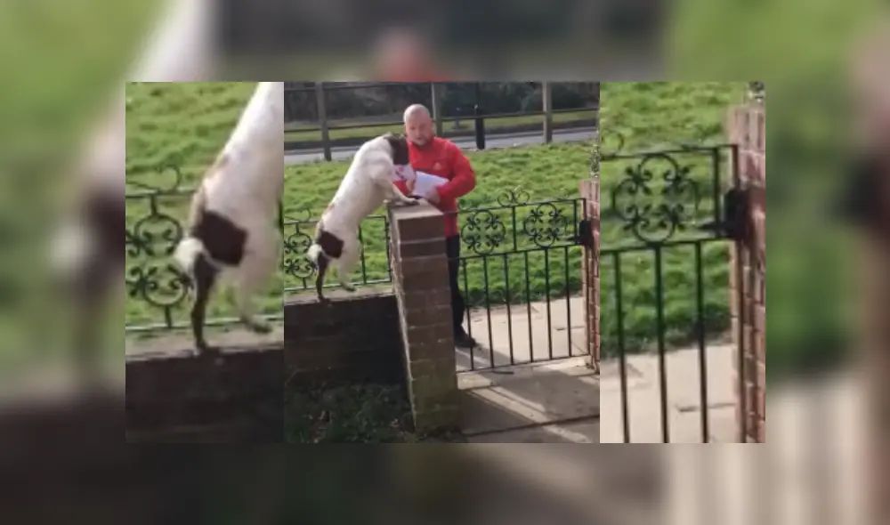 Video es viral en YouTube. Dueña del can compartió el peculiar recibimiento que su mascota le da al cartero cada vez que este va a la casa para dejar algo.