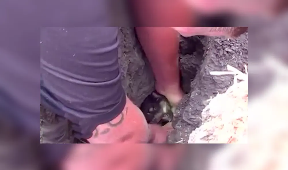 Desliza hacia la izquierda para ver el conmovedor rescate que se viralizó en Facebook.