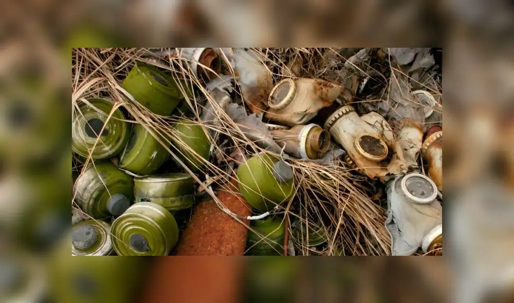 Chernobyl: ¿Cómo se encuentra el territorio donde ocurrió el peor accidente nuclear de la historia?