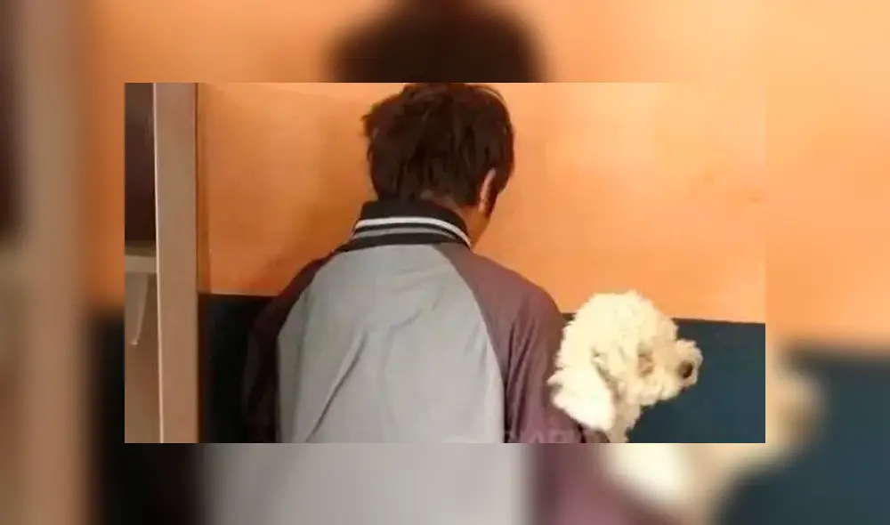 El detenido fue identificado como Cristian Ponce, quien sustrajo un perro caniche de raza Mini Toy de una casa. (Foto: La Crónica) El detenido fue identificado como Cristian Ponce, quien sustrajo un perro caniche de raza Mini Toy de una casa. (Foto: La Crónica)