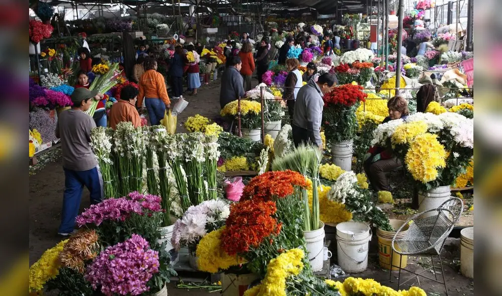 Floricultura Floricultura