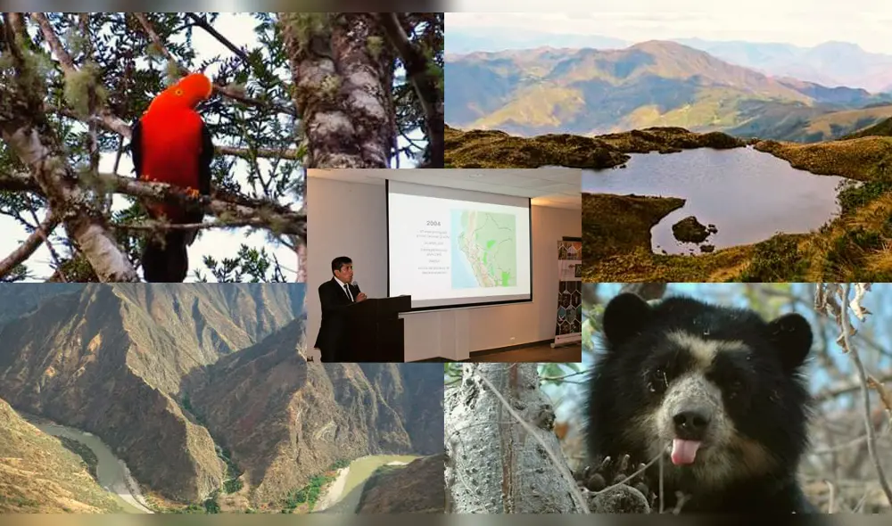 ONG no solo interviene en Piura sino también en las regiones Loreto, Ucayali, Amazonas, Huánuco y San Martín