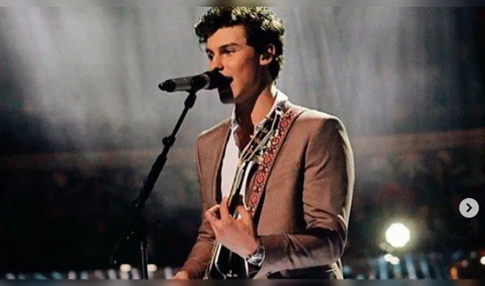 Shawn Mendes remece Instagram al publicar su primera foto en cazoncillos