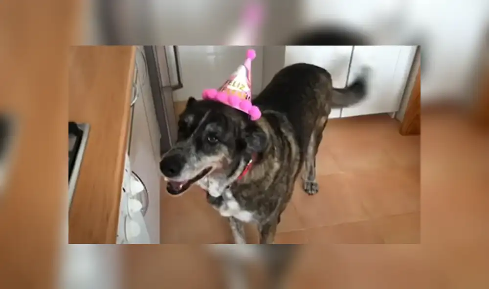 Desliza hacia la izquierda para ver las imágenes del viral de Facebook.