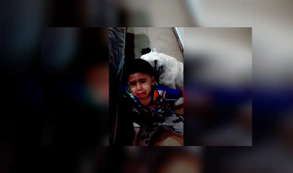 Desliza las imágenes para apreciar el comportamiento de un niño para que su madre castigue a su perro. Desliza las imágenes para apreciar el comportamiento de un niño para que su madre castigue a su perro.