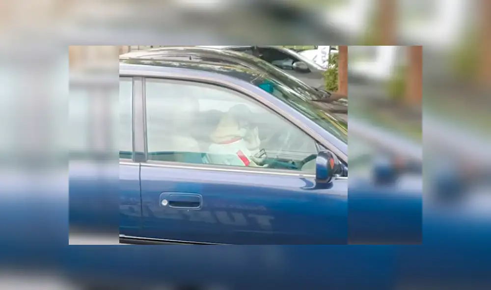 Los perros no aguantaron la demora de su dueño y protagonizaron una hilarante escena que se ha hecho viral en Facebook