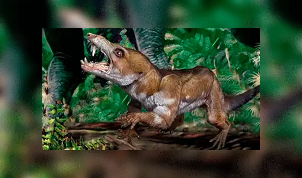 Scrat, ardilla de "La era de hielo" tendría su origen en especie argentina. Foto: difusión