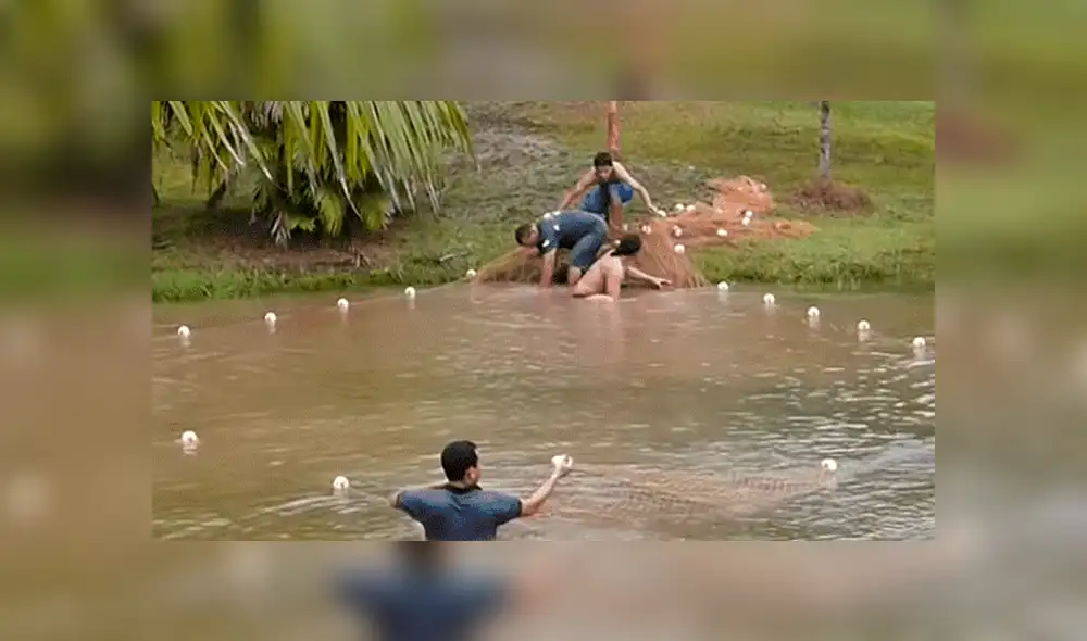 YouTube viral: Entran a pescar y quedan en shock al ver extrañas criaturas en su red [VIDEO]